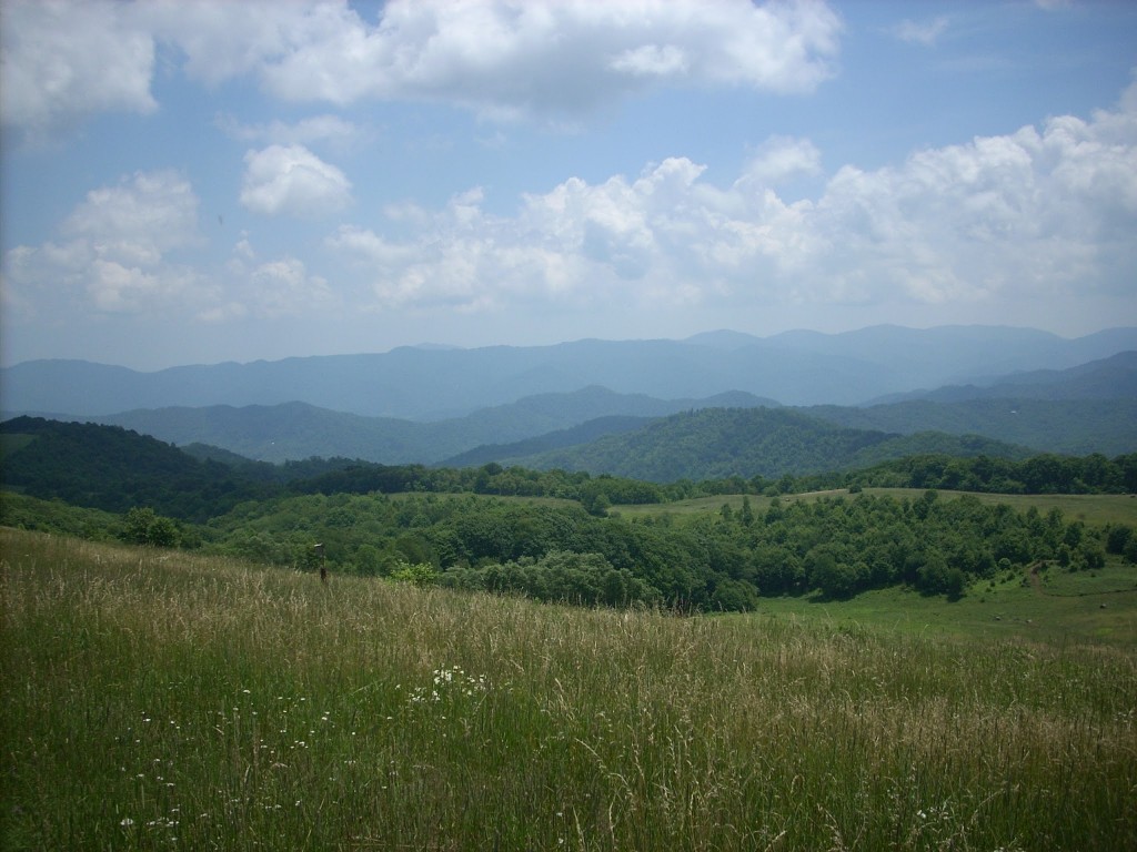 hillsIG