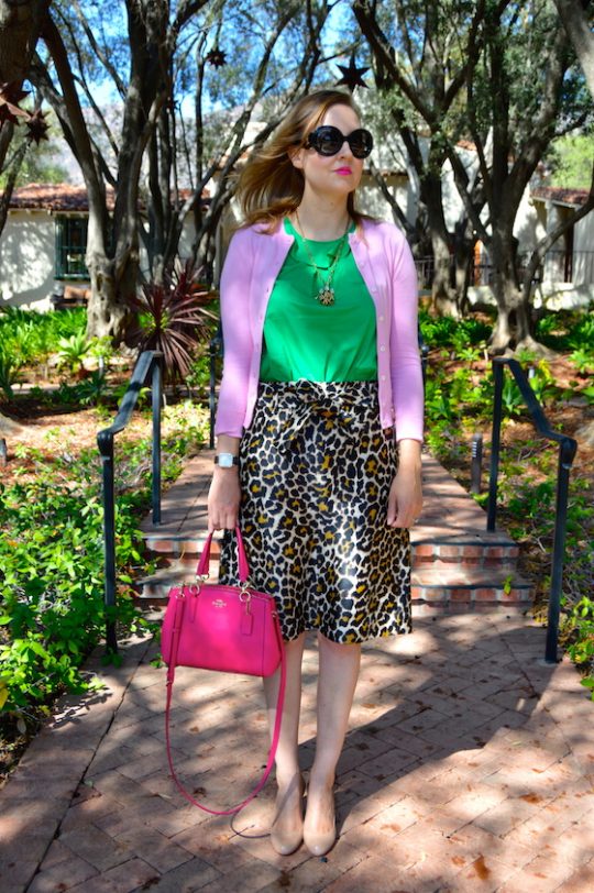 leopardkatie