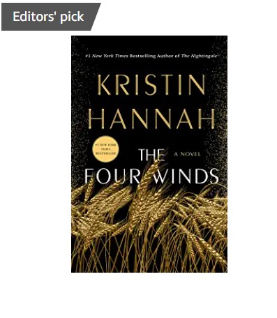 Kristin Hannah book